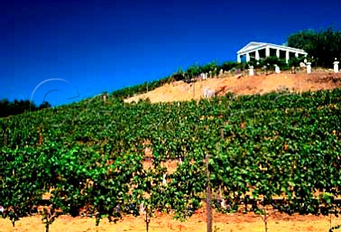 Benziger winery and vineyard Glen   Ellen Sonoma Co California Sonoma   Mountain AVA