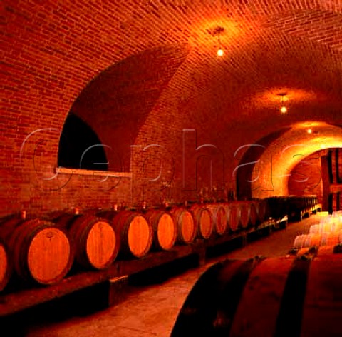 Romano dal Forno barrel cellar Celloere dIllasi   Veneto Italy Valpolicella