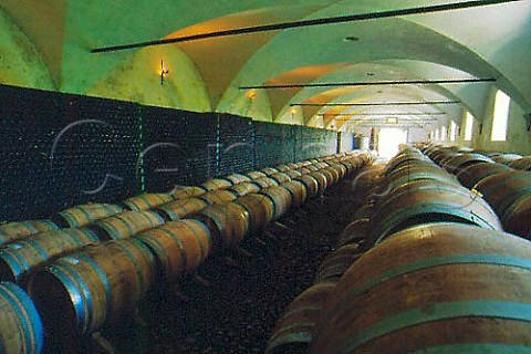 Cellar of Dorigo Girolamo with barriques   and bottles of spumante  Buttrio Friuli Italy    DOC Colli Orientali