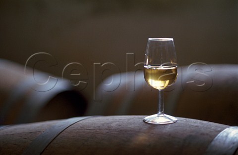 Glass of white wine on barrel in cellar of  Girolamo Dorigo Vicinale di Buttrio  Friuli Italy    DOC Colli Orientali del Friuli