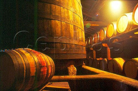 Barrels in the cellars of Quinta do   Cotto Portugal Douro