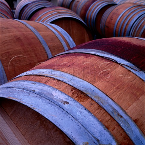 Barrels in Cloudy Bay winery Marlborough   New Zealand