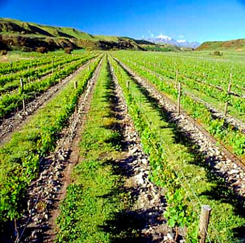 Nautilus Awatere River vineyard in the   Awatere Valley Marlborough New Zealand