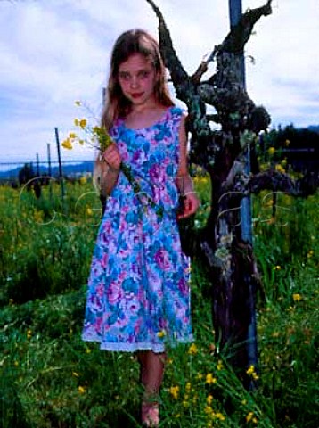 Young girl in Petite Sirah vineyard of Leeds Ranch   Rutherford Napa Co California