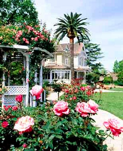 Zinfandel Gardens with the old Sutter   mansion beyond  now a Bed and Breakfast  Sutter Home winery StHelena   Napa Co California