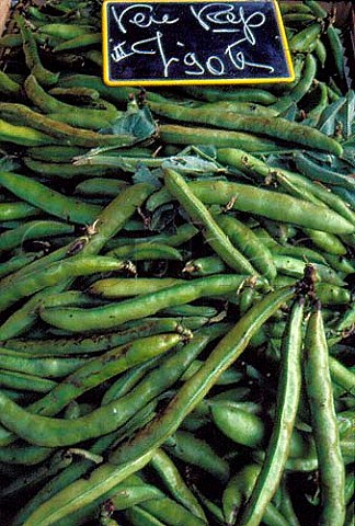 Broad beans for sale