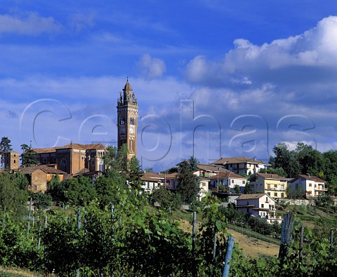 Monforte dAlba Piemonte Italy   Barolo