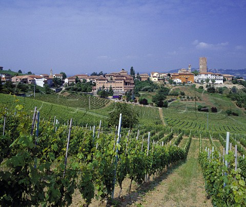 The village of Barbaresco with centre the premises  of Angelo Gaja   Piemonte Italy  Barbaresco