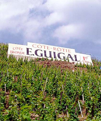 Terraced vineyard of Guigal on the Cte Blonde at   Ampuis Rhne France  AC Cte Rtie