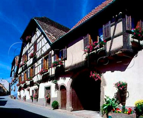 Geranium covered wine producers premises in   Hunawihr HautRhin France  Alsace