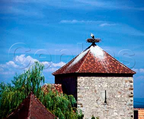 Stork nesting on a platform affixed to the roof of a building designed to  encourage their return to the area  DambachlaVille BasRhin France  Alsace