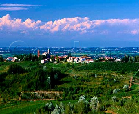 Vineyard landscape around Zenevredo viewed from   Montu Beccaria with the Po Valley in the distance     Lombardy Italy   Oltrep Pavese DOC