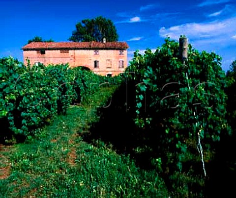 Traditional building in vineyard at Villanova   Emilia Romagna Italy  Lambrusco di Sorbara DOC
