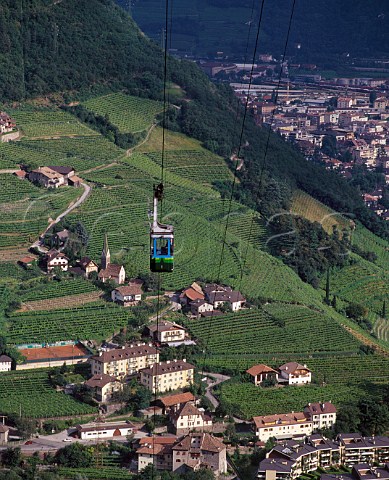 Cable car ascending to S Gensio Atesino over the  vineyards in the Santa Maddalena zone on the steep  hillsides above Bolzano Alto Adige Italy    Santa Maddalena DOC