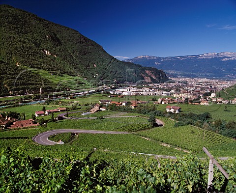 View over Bolzano from vineyards on the   slopes of the Isarco valley Alto Adige Italy   Santa Maddalena DOC