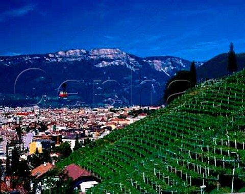 Cable car ascending to Soprabolzano over the   vineyards on the steep hillside above Bolzano Alto   Adige Italy   Santa Maddalena Classico DOC