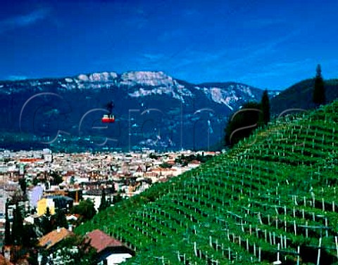 Cable car ascending to Soprabolzano over the   vineyards on the steep hillside above Bolzano   Alto Adige Italy Santa Maddalena Classico DOC