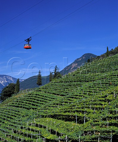 Cable car ascending to Soprabolzano over the   vineyards on the steep hillside above Bolzano   Alto Adige Italy   Santa Maddalena Classico DOC