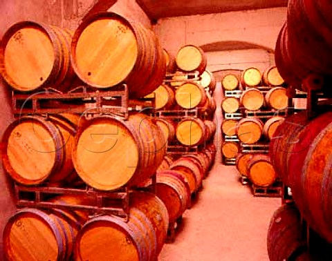 New oak barriques in the cellars of   Pojer  Sandri    Faedo Trentino Italy