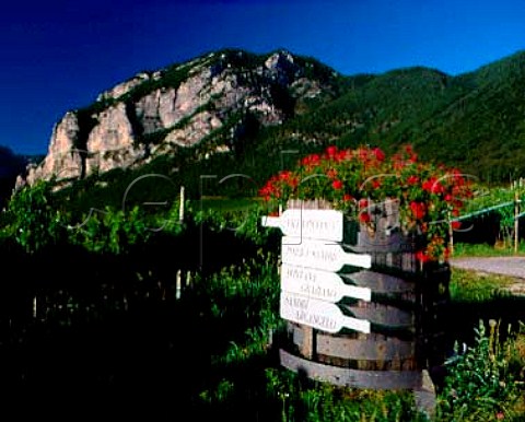 Directions to wine producers in the village   of Faedo including Pojer  Sandri  Trentino Italy