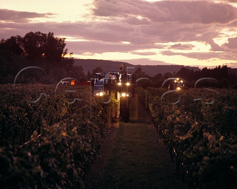 Machine harvesting of Chardonnay grapes in Domaine de la Motte vineyard of James Herrick starts at dusk and continues all night  Narbonne Aude France  Vin de Pays dOc             