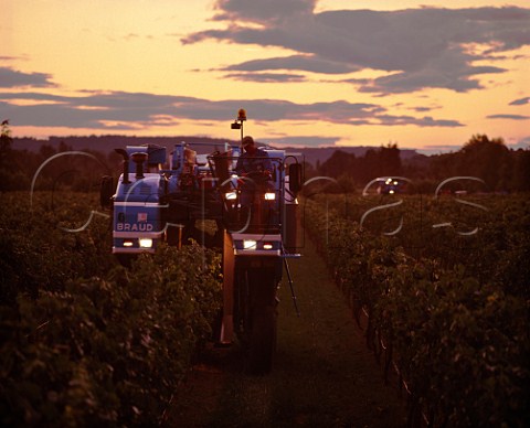 Machine harvesting of Chardonnay grapes at   James Herricks Domaine de la Motte starts at dusk   and continues all night  Narbonne Aude France  Vin de Pays dOc