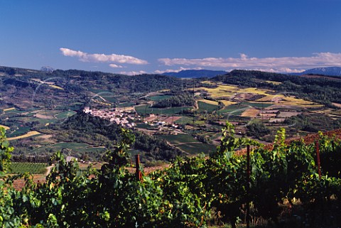 Les Aigles vineyard above Roquetaillade is at 400420 metres the highest Chardonnay vineyard of Domaine de lAigle  Aude France  Limoux