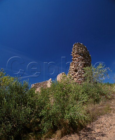 The ruined chteau at Calce high in the hills east of Estagel PyrnesOrientales France  Ctes du RoussillonVillages  Rivesaltes