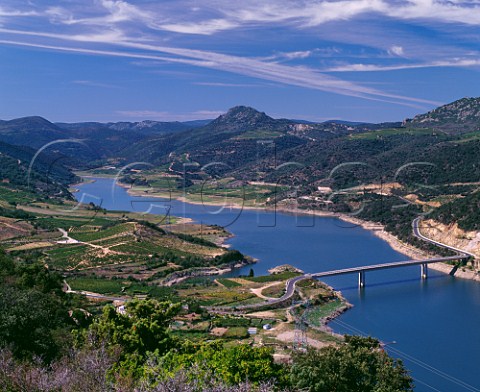 Vineyards on the banks of the Barrage de lAgly formed by damming the Agly river in 1996 at Caramany PyrnesOrientales France    Ctes du RoussillonVillages Caramany