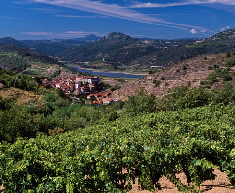 View over vineyard to the village of Caramany and the Barrage de lAgly formed by damming the Agly river in 1996   Caramany PyrnesOrientales France    Ctes du RoussillonVillages Caramany