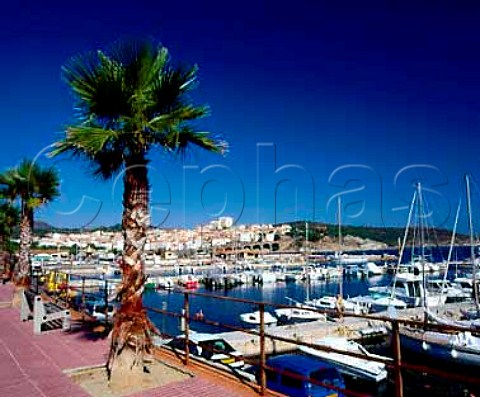 The harbour at BanyulssurMer PyrnesOrientales   France    ACs Collioure  Banyuls
