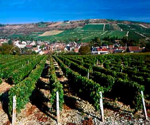 Village of Chavignol with its top vineyard Les Monts Damns beyond Cher France AC Sancerre