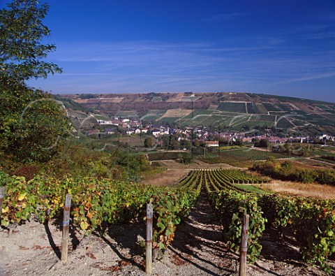 View over Pinot Noir vineyard to village of Chavignol with Les MontsDamns vineyard  beyond Cher France AC Sancerre