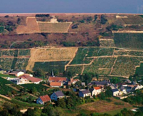Village of Chavignol at the foot of its top   vineyard Les MontsDamns with the winery of   Henri Bourgeois on the left  Cher France   AC Sancerre