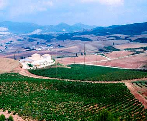 Bodegas Nekeas and Cabernet Sauvignon vineyard   Aorbe near Puente la Reina Navarra Spain