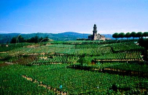 Vineyards at Beade Galicia Spain    DO Ribeiro