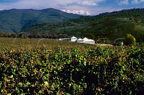 Vineyards and Bodegas Senen Guitian   near Valdeorras Galicia Spain   DO Valdeorras