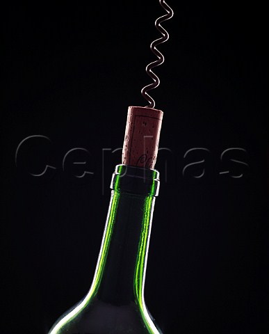 Wine bottle corkscrew and cork