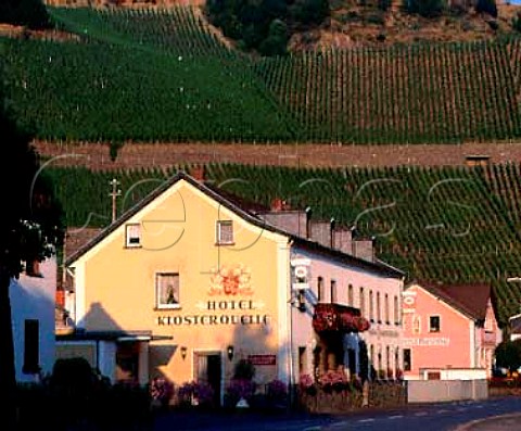 Vineyards surround Marienthal in the Ahr valley   Germany   Ahr