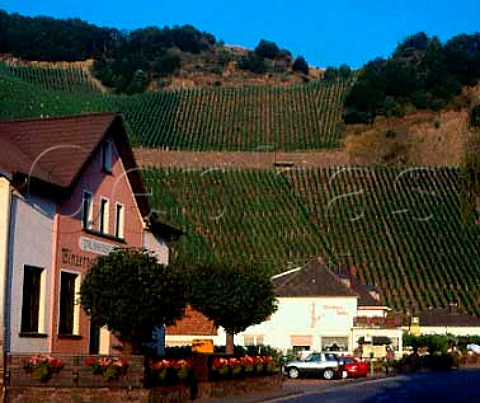 Vineyards surround Marienthal in the Ahr valley   Germany   Ahr