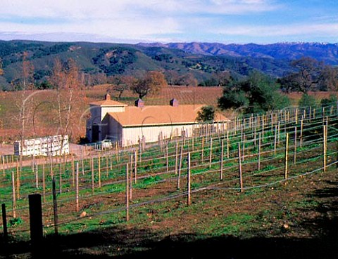 Vineyards of Durney Winery in the Cachagua Valley   Monterey Co California  Carmel Valley AVA