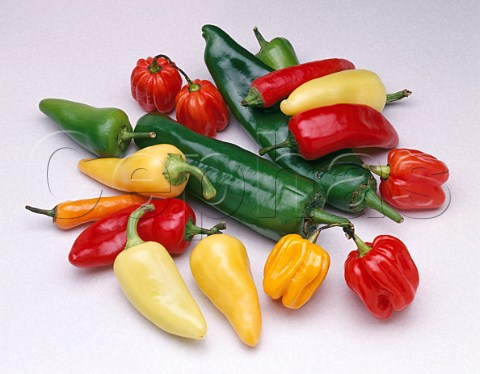 Assorted chillies Red Green Caribe Anaheim   Cayenne and Scotch Bonnet Peppers