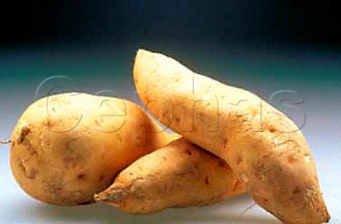 Sweet potatoes yams