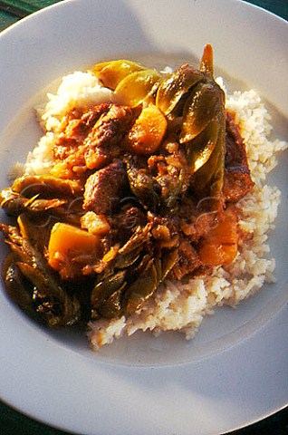 South Africa Beef and waterblommetjie  stew with rice