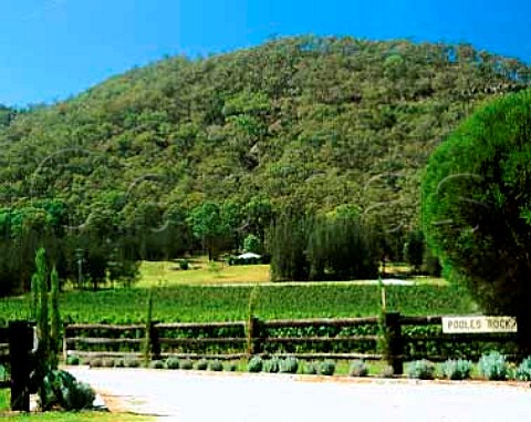 Pooles Rock vineyards Broke New South Wales   Australia   Hunter Valley