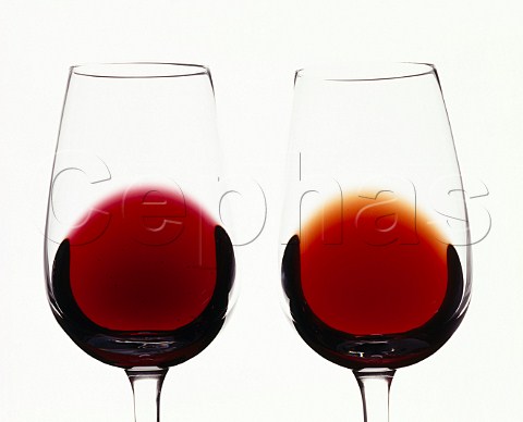 Difference in colour of young and old wines 2year old Cabernet Sauvignon VDP and 25year old Brunello di Montalcino