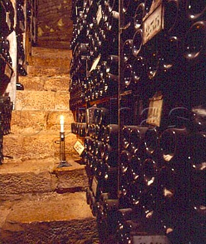 Vintage bottle cellar of Bouchard Pre et Fils   Beaune Cte dOr France