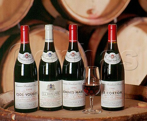 Four red Grand Cru Burgundies in the cellars of   Bouchard Pre et Fils Beaune   Cte dOr France