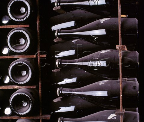 Bottles of La Grande Dame lying sur lattes in the cellars of Veuve Clicquot Ponsardin  Reims Marne France  Champagne