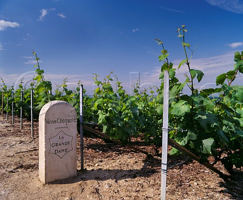 Marker stone in Chardonnay vineyard unusual for this area by the Manoir de Verzy The grapes are used for La Grande Dame the prestige cuve of Veuve Clicquot Ponsardin  Verzy Marne France  Montagne de Reims  Champagne